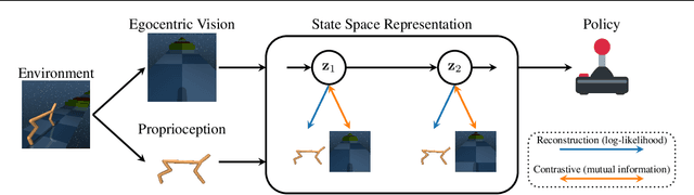 Figure 1 for Reinforcement Learning from Multiple Sensors via Joint Representations