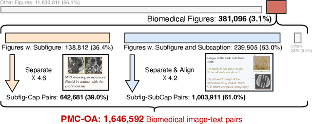 Figure 1 for PMC-CLIP: Contrastive Language-Image Pre-training using Biomedical Documents