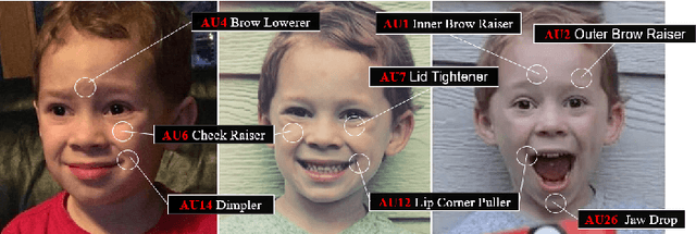 Figure 1 for Global-to-local Expression-aware Embeddings for Facial Action Unit Detection