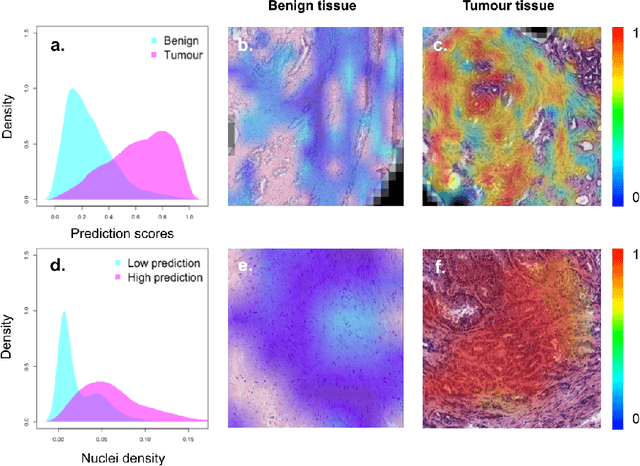 Figure 3 for Beyond attention: deriving biologically interpretable insights from weakly-supervised multiple-instance learning models