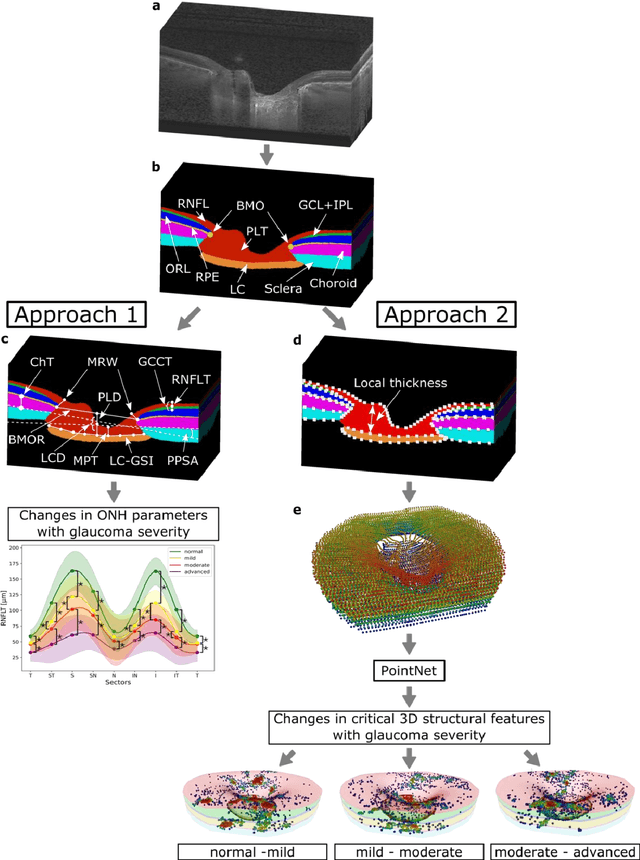 Figure 1 for The 3D Structural Phenotype of the Glaucomatous Optic Nerve Head and its Relationship with The Severity of Visual Field Damage