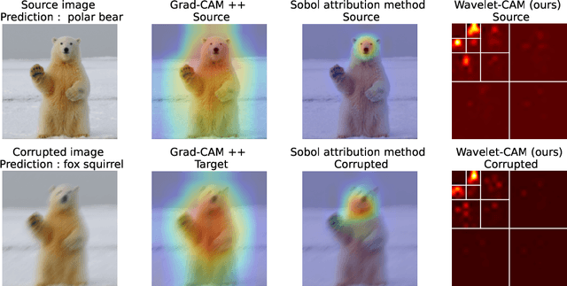 Figure 1 for Scale Matters: Attribution Meets the Wavelet Domain to Explain Model Sensitivity to Image Corruptions