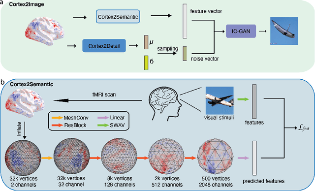 Figure 1 for Decoding natural image stimuli from fMRI data with a surface-based convolutional network