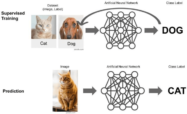 Figure 1 for UX Heuristics and Checklist for Deep Learning powered Mobile Applications with Image Classification