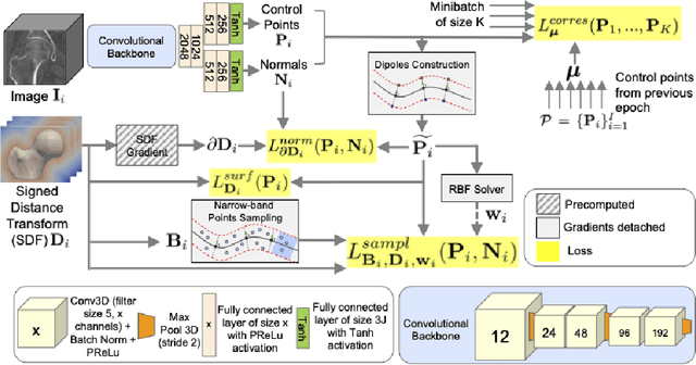 Figure 2 for Image2SSM: Reimagining Statistical Shape Models from Images with Radial Basis Functions