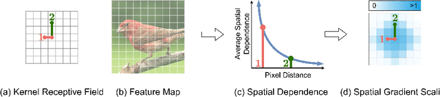 Figure 1 for Reparameterization through Spatial Gradient Scaling