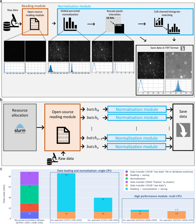 Figure 2 for Phagocytosis Unveiled: A Scalable and Interpretable Deep learning Framework for Neurodegenerative Disease Analysis