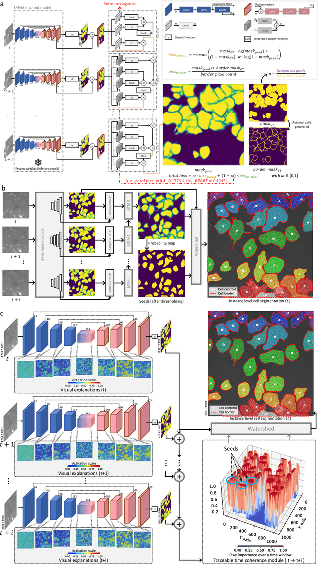 Figure 4 for Phagocytosis Unveiled: A Scalable and Interpretable Deep learning Framework for Neurodegenerative Disease Analysis