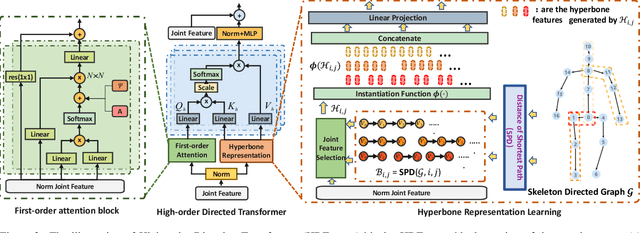 Figure 3 for HDFormer: High-order Directed Transformer for 3D Human Pose Estimation