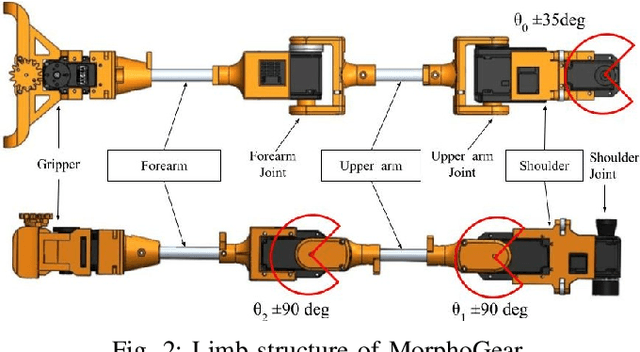 Figure 2 for MorphoArms: Morphogenetic Teleoperation of Multimanual Robot