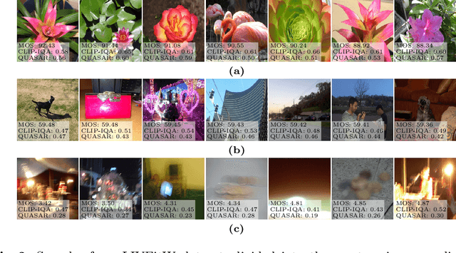 Figure 4 for QUASAR: QUality and Aesthetics Scoring with Advanced Representations