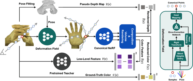 Figure 2 for HandNeRF: Neural Radiance Fields for Animatable Interacting Hands