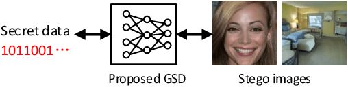 Figure 1 for Generative Steganography Diffusion