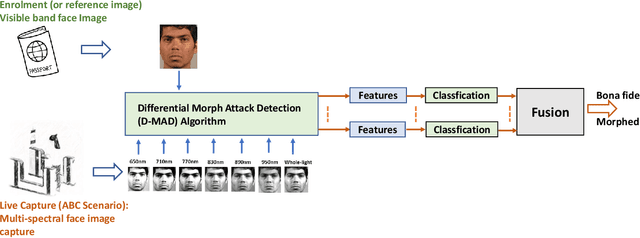Figure 3 for Multispectral Imaging for Differential Face Morphing Attack Detection: A Preliminary Study