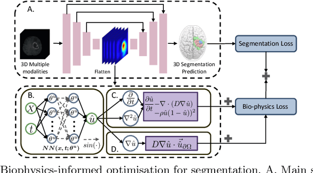 Figure 1 for Biophysics Informed Pathological Regularisation for Brain Tumour Segmentation