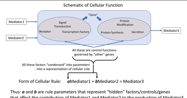 Figure 1 for Generating synthetic multi-dimensional molecular-mediator time series data for artificial intelligence-based disease trajectory forecasting and drug development digital twins: Considerations