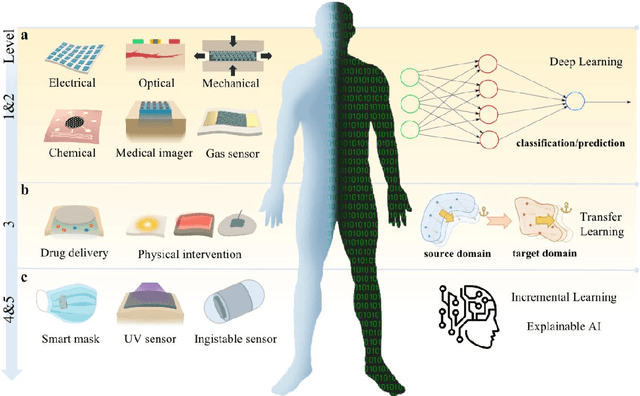 Figure 2 for Human Body Digital Twin: A Master Plan