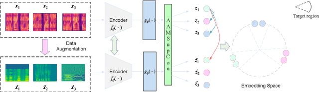 Figure 2 for Speaker Representation Learning via Contrastive Loss with Maximal Speaker Separability