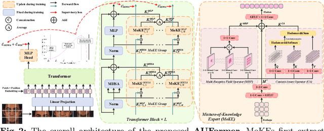 Figure 3 for AUFormer: Vision Transformers are Parameter-Efficient Facial Action Unit Detectors