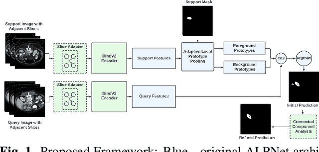 Figure 1 for DINOv2 based Self Supervised Learning For Few Shot Medical Image Segmentation