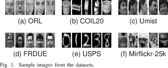 Figure 1 for Outlier-Robust Tensor Low-Rank Representation for Data Clustering