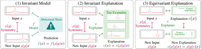 Figure 1 for Evaluating the Robustness of Interpretability Methods through Explanation Invariance and Equivariance