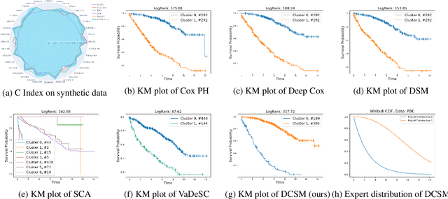 Figure 4 for Deep Clustering Survival Machines with Interpretable Expert Distributions