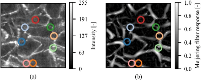 Figure 4 for Evaluation of particle motions in stabilized specimens of transparent sand using deep learning segmentation