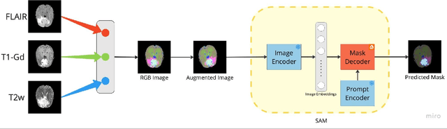 Figure 3 for Empirical Evaluation of the Segment Anything Model (SAM) for Brain Tumor Segmentation