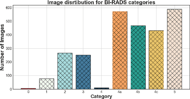 Figure 1 for Performance of Machine Learning Classification in Mammography Images using BI-RADS