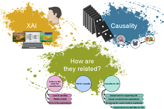 Figure 1 for The role of causality in explainable artificial intelligence