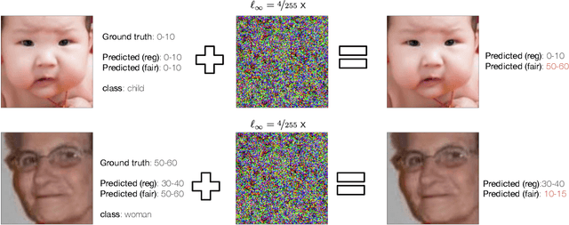 Figure 1 for Fairness Increases Adversarial Vulnerability