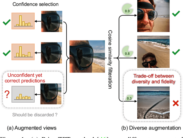 Figure 1 for Diverse Data Augmentation with Diffusions for Effective Test-time Prompt Tuning