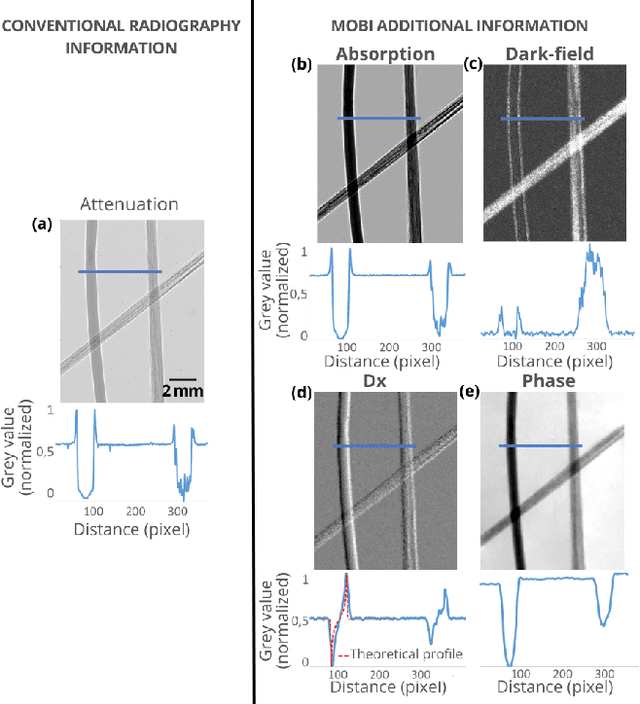 Figure 2 for Dark-field and directional dark-field on low coherence X-ray sources with random mask modulations: validation with SAXS anisotropy measurements
