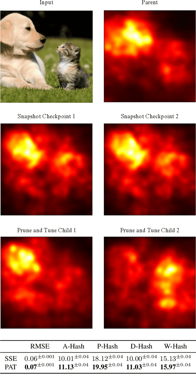 Figure 4 for Interpretable Diversity Analysis: Visualizing Feature Representations In Low-Cost Ensembles