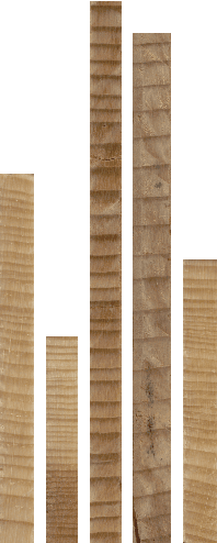 Figure 1 for CS-TRD: a Cross Sections Tree Ring Detection method