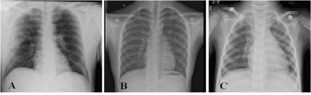 Figure 1 for Case Studies on X-Ray Imaging, MRI and Nuclear Imaging