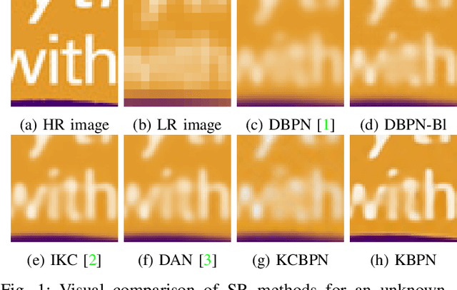 Figure 1 for Kernelized Back-Projection Networks for Blind Super Resolution