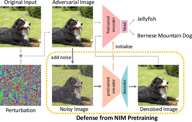 Figure 1 for Beyond Pretrained Features: Noisy Image Modeling Provides Adversarial Defense