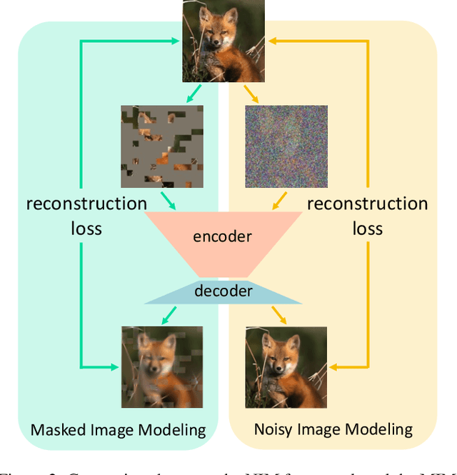 Figure 3 for Beyond Pretrained Features: Noisy Image Modeling Provides Adversarial Defense