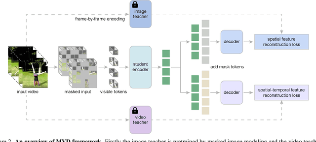 Figure 3 for Masked Video Distillation: Rethinking Masked Feature Modeling for Self-supervised Video Representation Learning