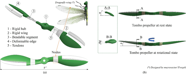 Figure 4 for Tombo Propeller: Bio-Inspired Deformable Structure toward Collision-Accommodated Control for Drones