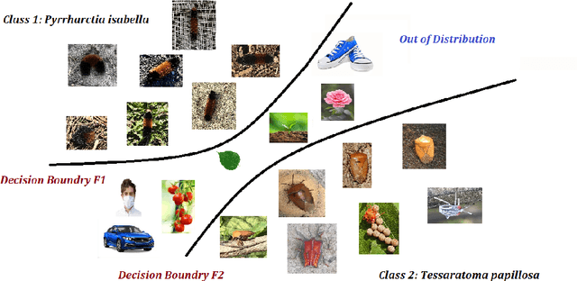 Figure 1 for Out-of-distribution detection algorithms for robust insect classification