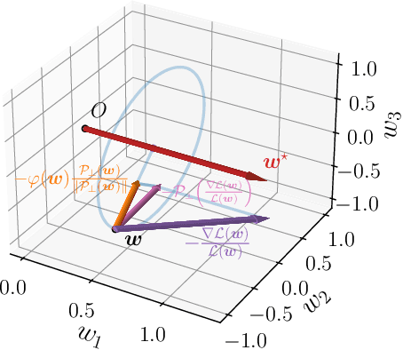 Figure 3 for Achieving Margin Maximization Exponentially Fast via Progressive Norm Rescaling