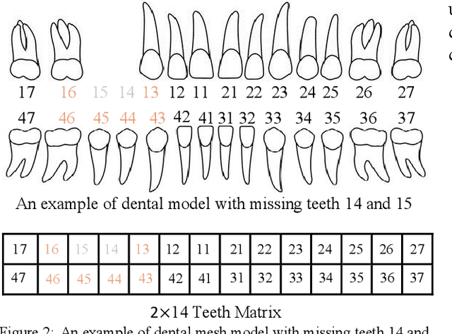 Figure 3 for Accurate 3D Prediction of Missing Teeth in Diverse Patterns for Precise Dental Implant Planning