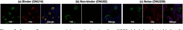 Figure 4 for AVIDa-hIL6: A Large-Scale VHH Dataset Produced from an Immunized Alpaca for Predicting Antigen-Antibody Interactions