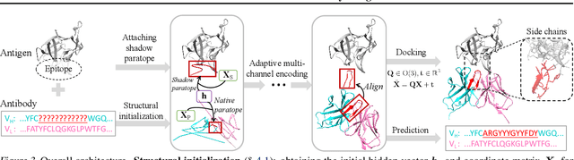 Figure 4 for End-to-End Full-Atom Antibody Design