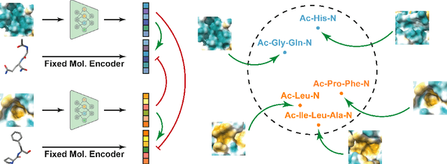 Figure 3 for Self-supervised Pocket Pretraining via Protein Fragment-Surroundings Alignment