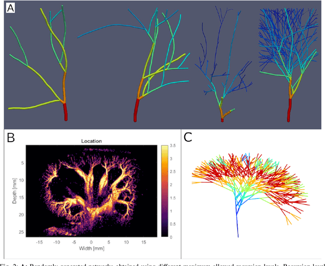 Figure 2 for BUbble Flow Field: a Simulation Framework for Evaluating Ultrasound Localization Microscopy Algorithms