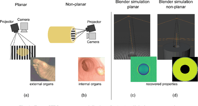 Figure 1 for Designing and simulating realistic spatial frequency domain imaging systems using open-source 3D rendering software